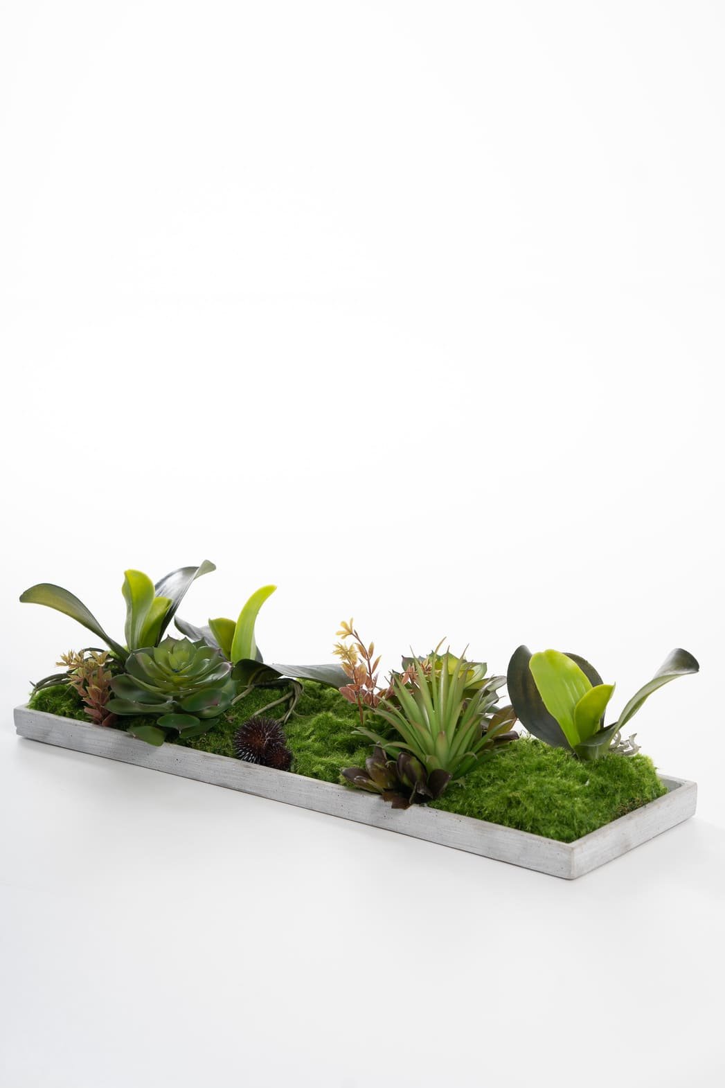 ,,Atgyjanti žaluma“ - Image 3