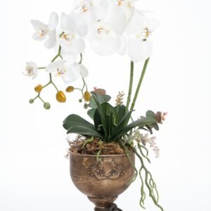 balta dirbtine orchideja