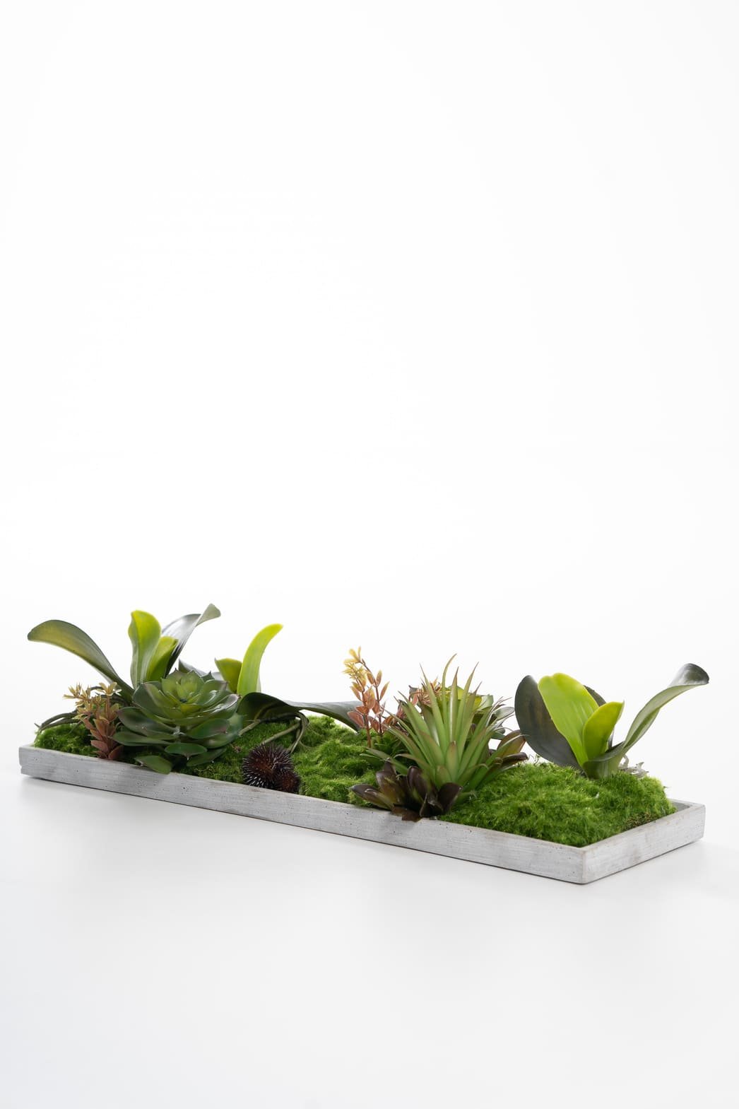 ,,Atgyjanti žaluma“ - Image 2